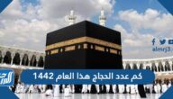 كم عدد الحجاج هذا العام 1442 كم عدد الحجاج هذا العام 1442