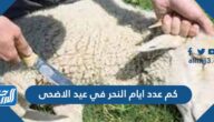 كم عدد ايام النحر في عيد الاضحى