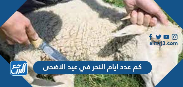 كم عدد ايام النحر في عيد الاضحى