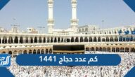 كم عدد حجاج 1441