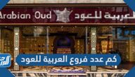 كم عدد فروع العربية للعود 1447