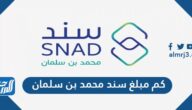 كم مبلغ سند محمد بن سلمان