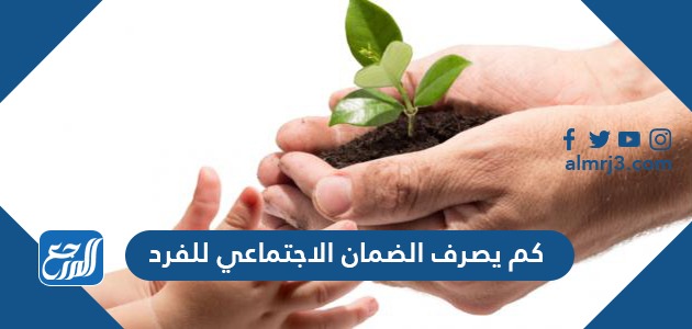 كم يصرف الضمان الاجتماعي للفرد