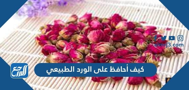 كيف أحافظ على الورد الطبيعي لمدة طويلة