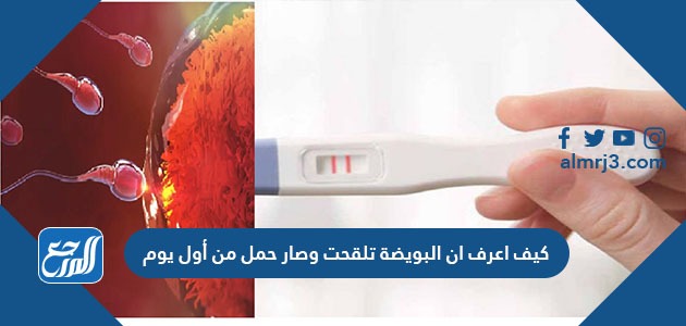 كيف اعرف ان البويضة تلقحت وصار حمل من اول يوم