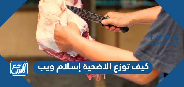 كيف توزع الاضحية إسلام ويب