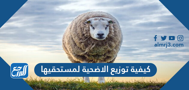 كيفية توزيع الاضحية لمستحقيها
