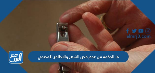 ما الحكمة من عدم قص الشعر والاظافر للمضحي