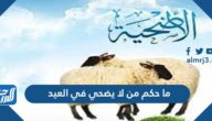ما حكم من لا يضحي في العيد