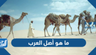 ما هو أصل العرب