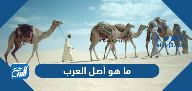 ما هو أصل العرب
