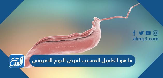 ما هو الطفيل المسبب لمرض النوم الافريقي