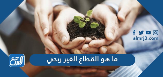 ما هو القطاع الغير ربحي