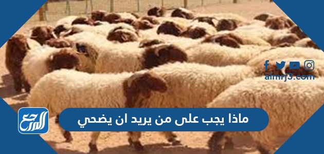 ماذا يجب على من يريد ان يضحي