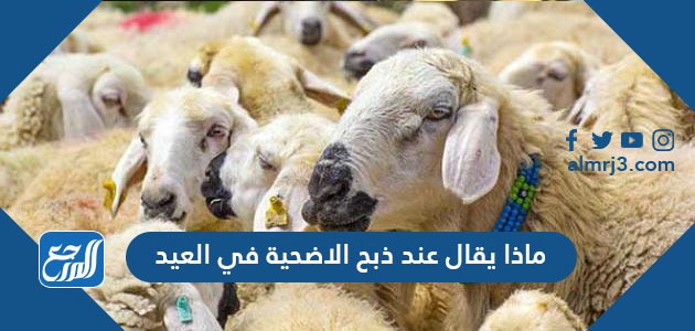ماذا يقال عند ذبح الاضحية في العيد