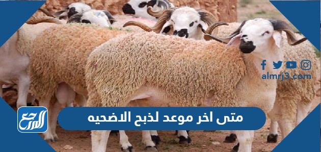 متى اخر موعد لذبح الاضحيه