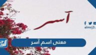 معنى اسم آسر Aser وصفات حامل الاسم وشخصيته