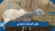 هل الرخله تضحي