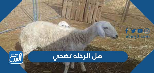 هل الرخله تضحي