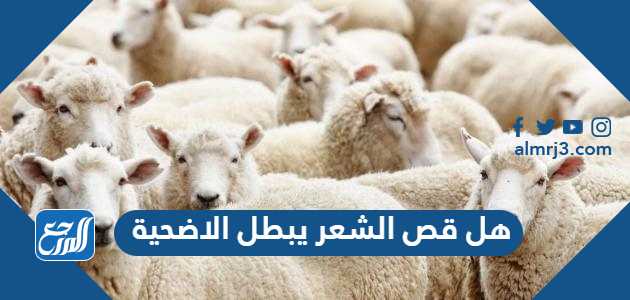 هل قص الشعر يبطل الاضحية