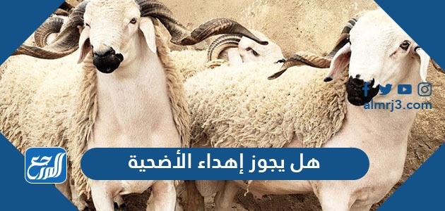 هل يجوز إهداء الأضحية