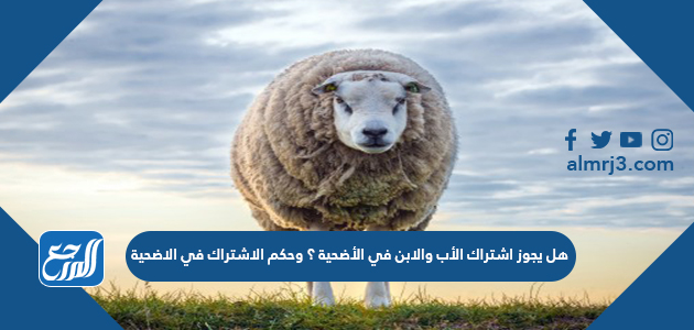 هل يجوز اشتراك الأب والابن في الأضحية ؟ وحكم الاشتراك في الاضحية