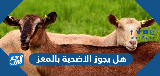 هل يجوز الاضحية بالمعز