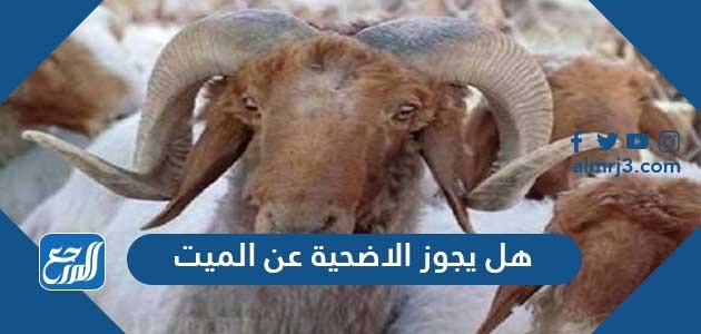 هل يجوز الاضحية عن الميت