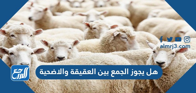 هل يجوز الجمع بين العقيقة والاضحية