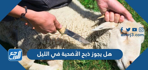 هل يجوز ذبح الأضحية في الليل