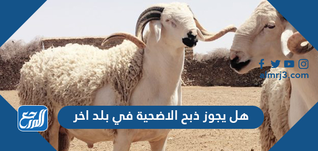 هل يجوز ذبح الاضحية في بلد اخر