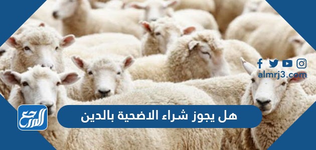 هل يجوز شراء الاضحية بالدين