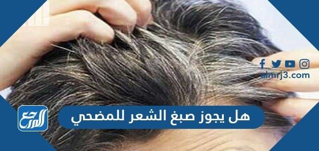 هل يجوز صبغ الشعر للمضحي