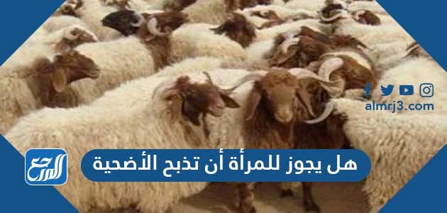 هل يجوز للمرأة أن تذبح الأضحية
