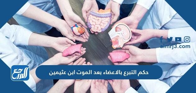 حكم التبرع بالاعضاء بعد الموت ابن عثيمين موقع المرجع