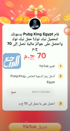 حل مشكلة لم تجتاز اختبار السيطرة على الاحتيال في التيك توك