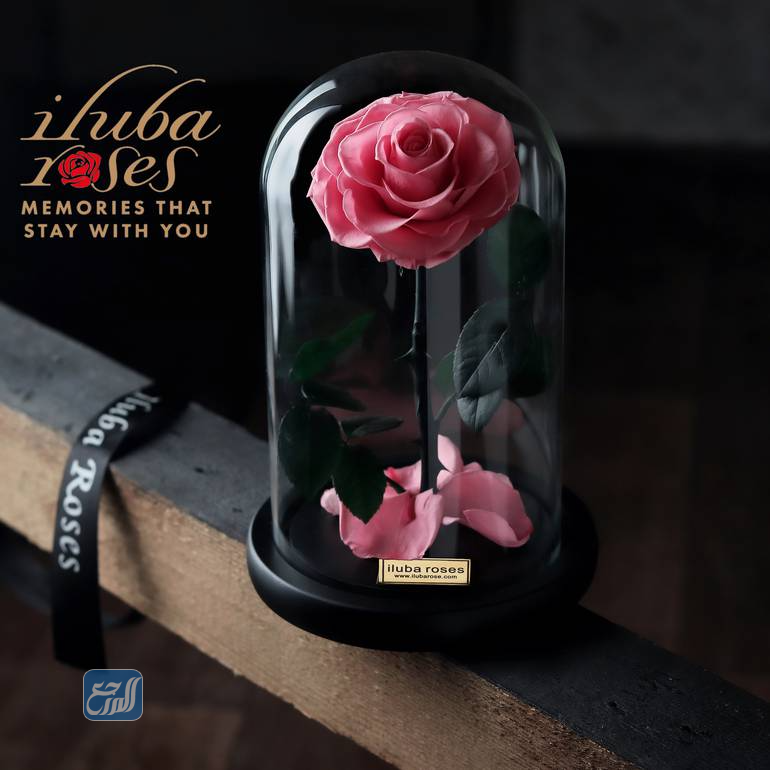 محل ورد ايلوبا