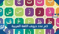 كم عدد حروف اللغة العربية