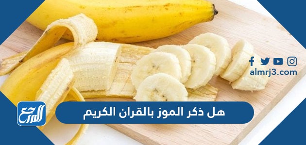 هل ذكر الموز بالقران الكريم