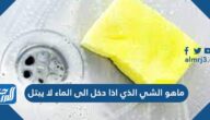 حل لغز ما هو الشيء الذي إذا دخل الماء لم يبتل