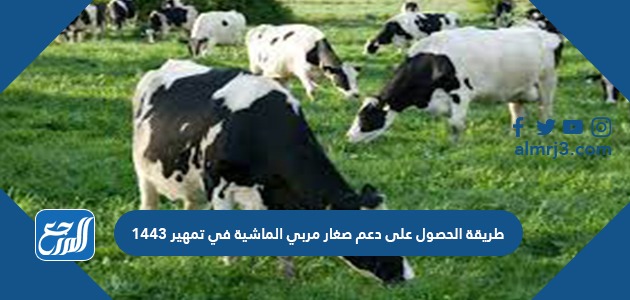 طريقة الحصول على دعم صغار مربي الماشية في تمهير 1443