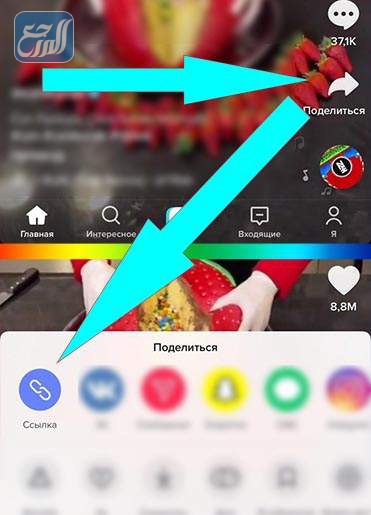 تحميل من التيك توك بدون حقوق ايفون
