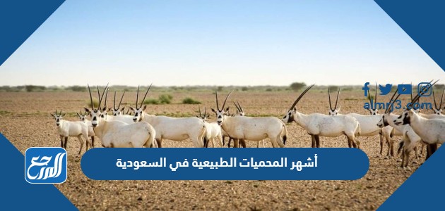 أشهر المحميات الطبيعية في السعودية