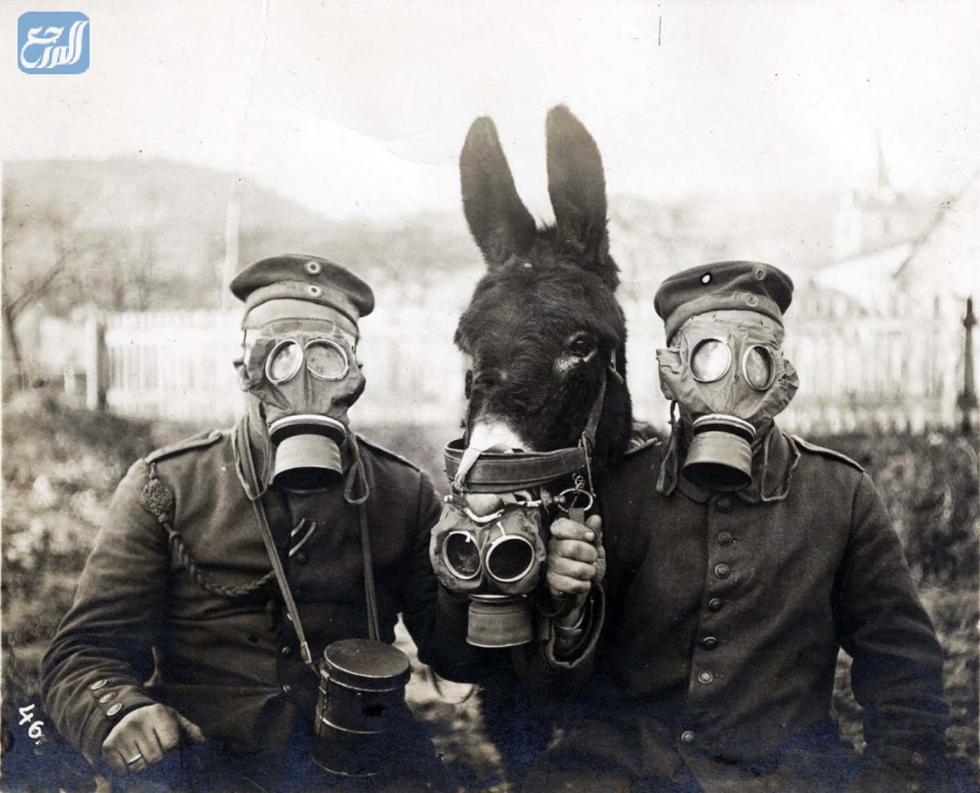 من أول من استخدم الغازات السامة في الحروب