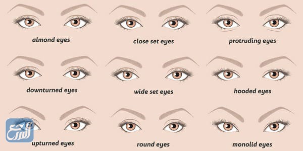 صور أنواع العيون