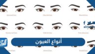 ما هي أنواع العيون وصفاتها