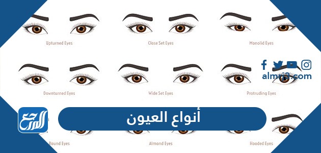أنواع العيون