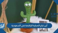 أين تباع الصبارة الراقصة في السعودية
