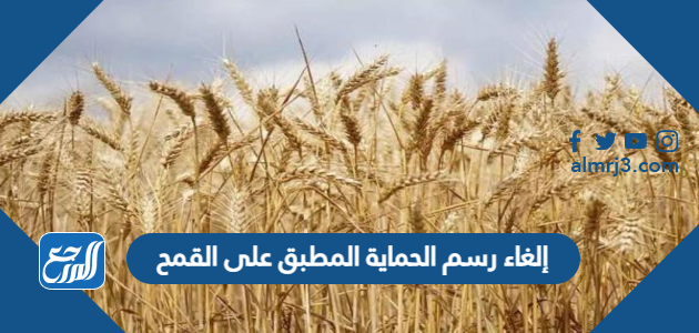 إلغاء رسم الحماية المطبق على القمح