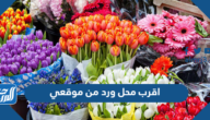 اقرب محل ورد من موقعي